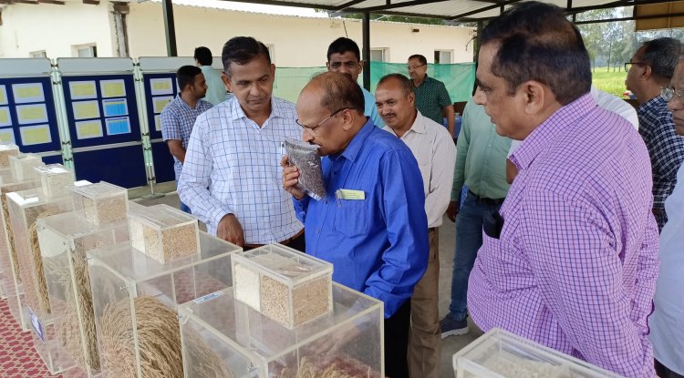 Hon'ble Vice Chancellor Dr. Z. P. Patel visited Main Rice Research Centre, Navsari on October 6, 2022 and reviewed the different research activities of State and ICAR-AICRP (Rice).