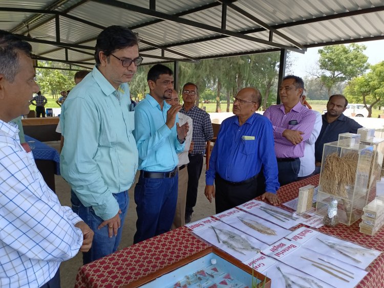 Hon'ble Vice Chancellor Dr. Z. P. Patel visited Main Rice Research Centre, Navsari on October 6, 2022 and reviewed the different research activities of State and ICAR-AICRP (Rice).