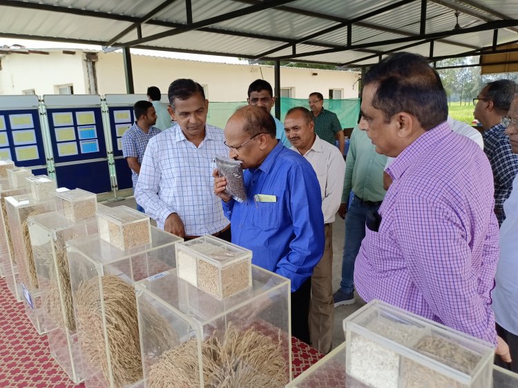 Hon'ble Vice Chancellor Dr. Z. P. Patel visited Main Rice Research Centre, Navsari on October 6, 2022 and reviewed the different research activities of State and ICAR-AICRP (Rice).