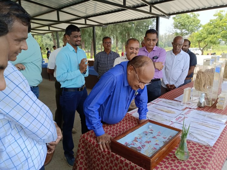 Hon'ble Vice Chancellor Dr. Z. P. Patel visited Main Rice Research Centre, Navsari on October 6, 2022 and reviewed the different research activities of State and ICAR-AICRP (Rice).