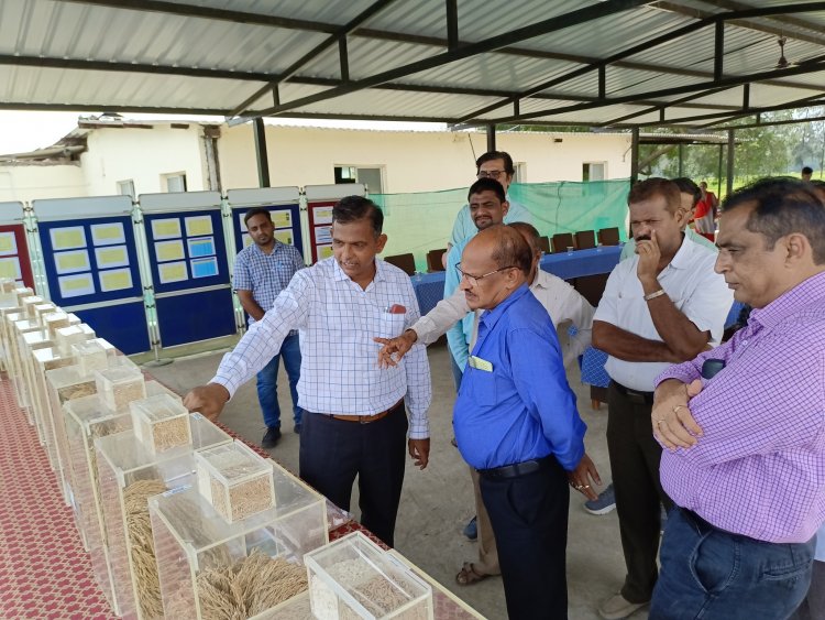 Hon'ble Vice Chancellor Dr. Z. P. Patel visited Main Rice Research Centre, Navsari on October 6, 2022 and reviewed the different research activities of State and ICAR-AICRP (Rice).