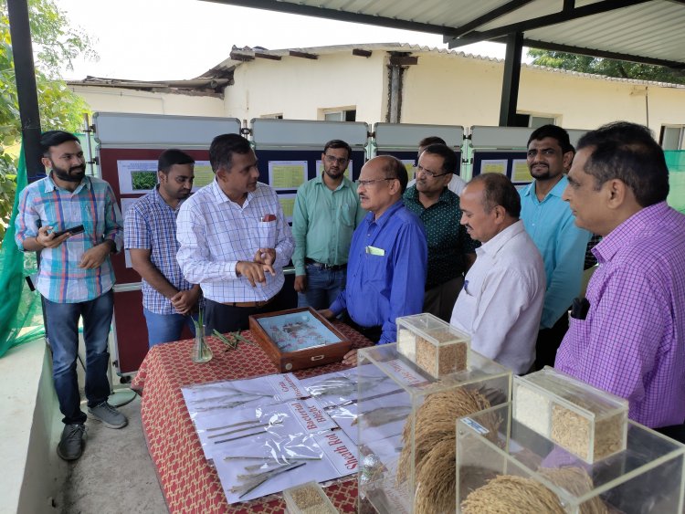 Hon'ble Vice Chancellor Dr. Z. P. Patel visited Main Rice Research Centre, Navsari on October 6, 2022 and reviewed the different research activities of State and ICAR-AICRP (Rice).