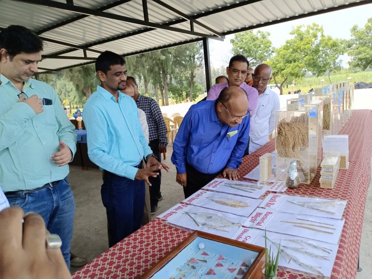 Hon'ble Vice Chancellor Dr. Z. P. Patel visited Main Rice Research Centre, Navsari on October 6, 2022 and reviewed the different research activities of State and ICAR-AICRP (Rice).