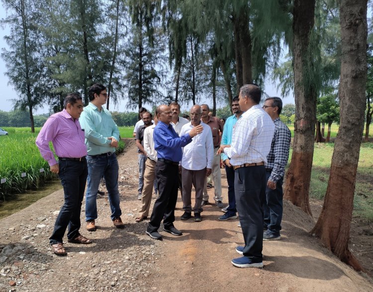 Hon'ble Vice Chancellor Dr. Z. P. Patel visited Main Rice Research Centre, Navsari on October 6, 2022 and reviewed the different research activities of State and ICAR-AICRP (Rice).