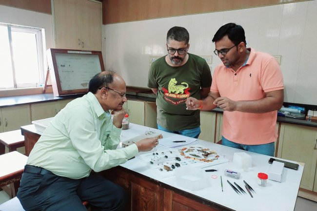 Hon’ble Vice Chancellor Dr. Z. P. Patel visited the Department of Entomology, N. M. College of Agriculture, Navsari on November 13, 2022 (SUNDAY) to review the assigned work of preparation of beautiful insect specimens.