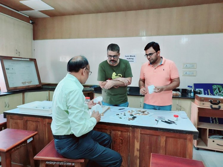 Hon’ble Vice Chancellor Dr. Z. P. Patel visited the Department of Entomology, N. M. College of Agriculture, Navsari on November 13, 2022 (SUNDAY) to review the assigned work of preparation of beautiful insect specimens.