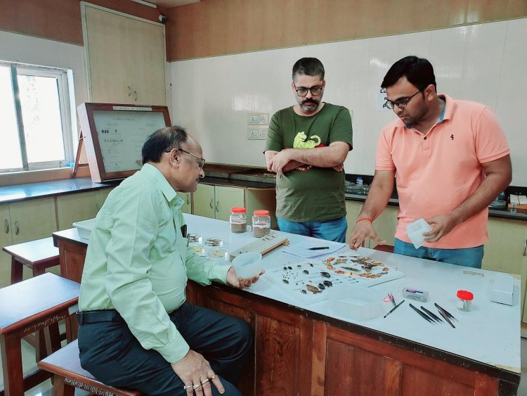 Hon’ble Vice Chancellor Dr. Z. P. Patel visited the Department of Entomology, N. M. College of Agriculture, Navsari on November 13, 2022 (SUNDAY) to review the assigned work of preparation of beautiful insect specimens.