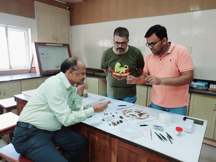 Hon’ble Vice Chancellor Dr. Z. P. Patel visited the Department of Entomology, N. M. College of Agriculture, Navsari on November 13, 2022 (SUNDAY) to review the assigned work of preparation of beautiful insect specimens.