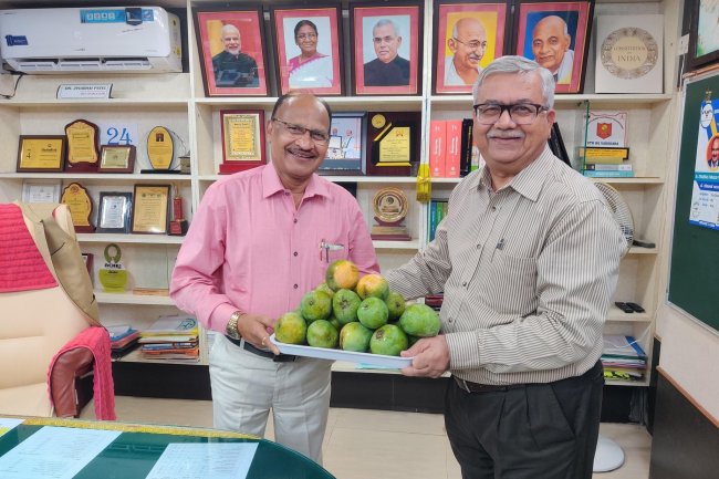 Principal- Horticulture Polytechnic Navsari presented off-season Alphonso mango to Hon’ble Vice-Chancellor