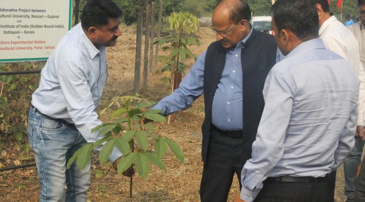 Hon’ble Vice-Chancellor visited Agriculture Experimental Station, Paria on December 5, 2022