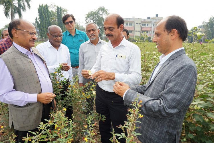 Hon'ble Vice-Chancellor Dr. Z. P. Patel visited the Regional Cotton Research Station, Bharuch on December 16, 2022