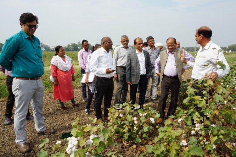 Hon'ble Vice-Chancellor Dr. Z. P. Patel visited the Regional Cotton Research Station, Bharuch on December 16, 2022