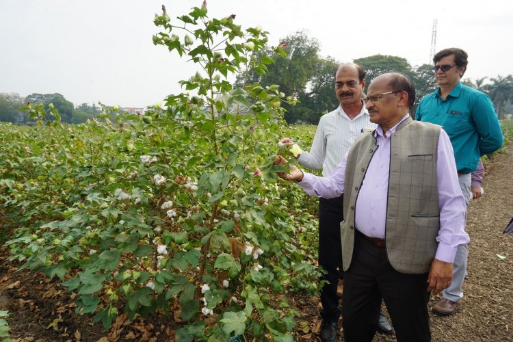 Hon'ble Vice-Chancellor Dr. Z. P. Patel visited the Regional Cotton Research Station, Bharuch on December 16, 2022