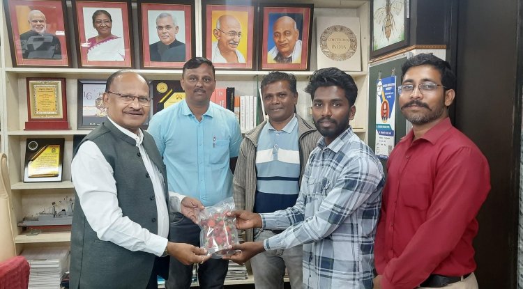 Strawberries are a symbol of purity and sensuality, fertility and abundance, humility and modesty. In Gujarat, strawberry is mostly grown in The Dang Region. But for the first time, it is commercially grown as a student’s experiment at the Organic Farm of NAU, Navsari. 