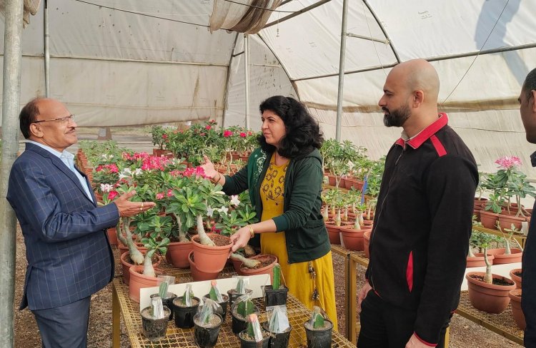 Hon'ble Vice-Chancellor Dr. Z. P. Patel visited Advance Technology Centre of soilless system for various crops at ACoH, Navsari.