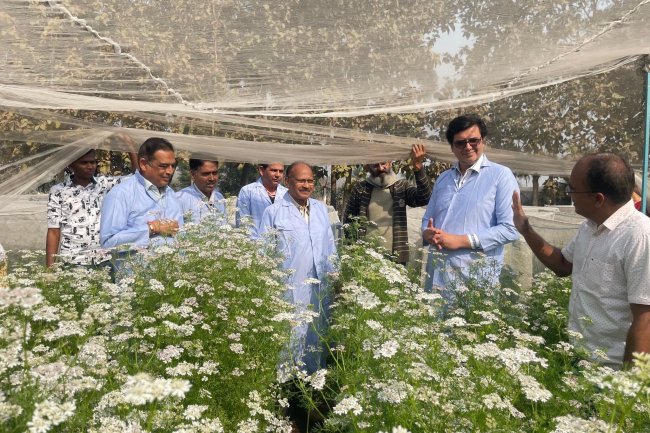Hon’ble Vice-Chancellor Dr. Z. P. Patel along with Dr. T. R. Ahlawat- DR, Dr. R. M. Naik-Principal & Dean, and Dr. V. R. Naik-ADR visited the Research farm of the Department of Genetics and Plant Breeding, NMCA Navsari
