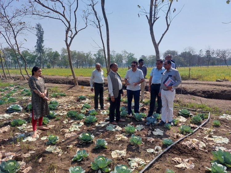 Hon’ble Vice Chancellor Dr. Z. P. Patel along with Dr. V. R. Naik, Associate Director of Research visited the Agronomy Farm, NMCA, Navsari on February 06, 2023.