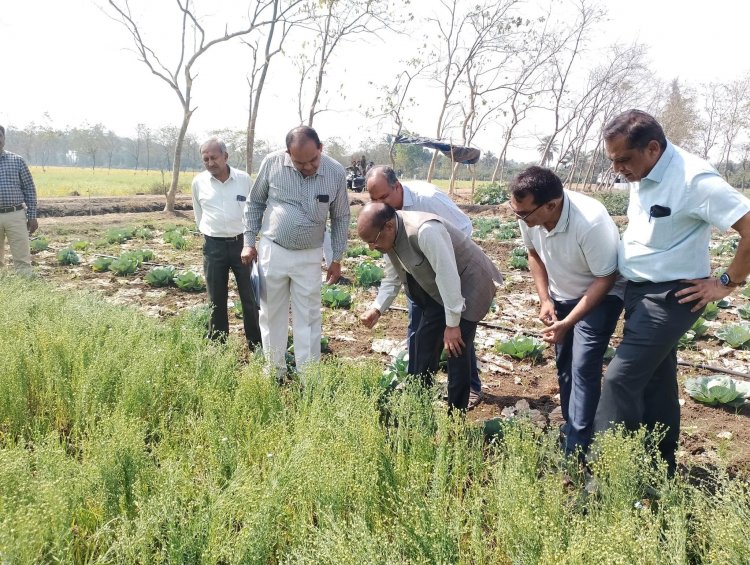 Hon’ble Vice Chancellor Dr. Z. P. Patel along with Dr. V. R. Naik, Associate Director of Research visited the Agronomy Farm, NMCA, Navsari on February 06, 2023.