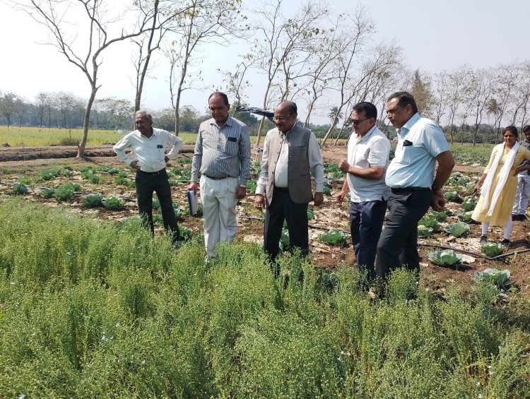 Hon’ble Vice Chancellor Dr. Z. P. Patel along with Dr. V. R. Naik, Associate Director of Research visited the Agronomy Farm, NMCA, Navsari on February 06, 2023.