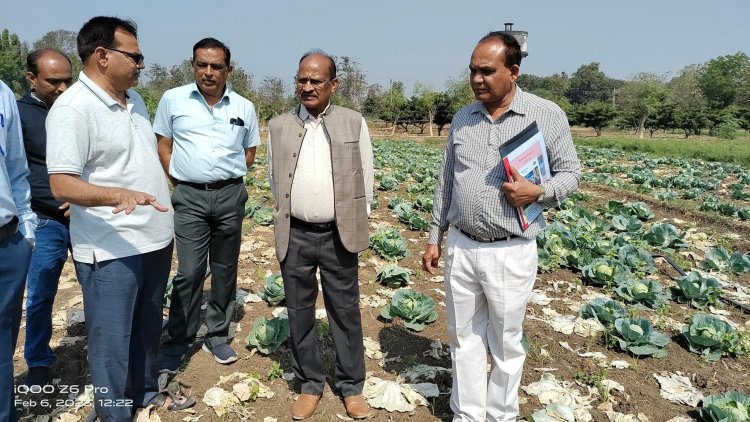 Hon’ble Vice Chancellor Dr. Z. P. Patel along with Dr. V. R. Naik, Associate Director of Research visited the Agronomy Farm, NMCA, Navsari on February 06, 2023.