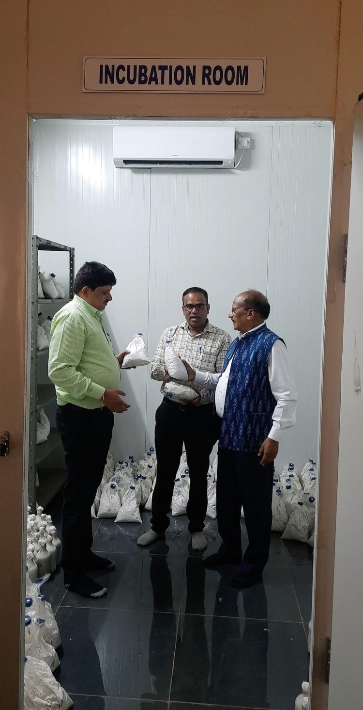 Hon’ble Vice-Chancellor Dr. Z. P. Patel visited 'Center of Excellence on Mushroom Research and Biopesticide Research & Production Unit', College of Agriculture Waghai on February 04, 2023.