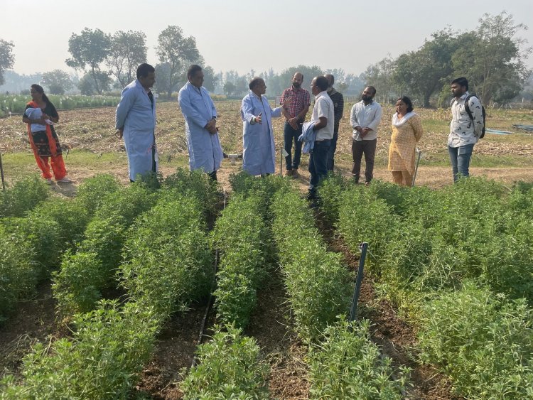 Hon’ble Vice-Chancellor Dr. Z. P. Patel along with Dr. T. R. Ahlawat- DR, Dr. R. M. Naik-Principal & Dean, and Dr. V. R. Naik-ADR visited the Research farm of the Department of Genetics and Plant Breeding, NMCA Navsari