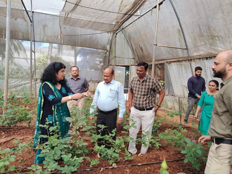 Hon'ble Vice-Chancellor Dr. Z. P. Patel visited Greenhouse Complex, ASPEE College of Horticulture on February 10, 2023.