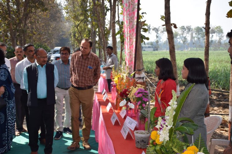 Hon’ble Vice-Chancellor Dr. Z. P. Patel inaugurated one day Workshop on 'Phoolpakoni Kheti - Ek Uttam Vyavsay'.