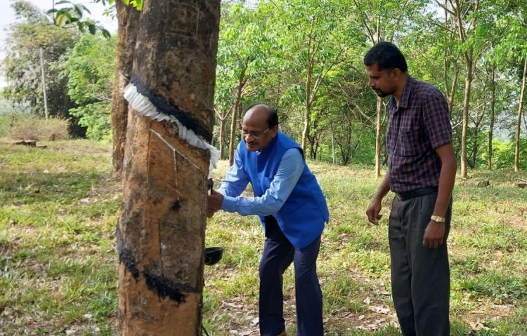 The Rubber Board and Digital University of Kerala has developed a Comprehensive Rubber Information System Platform (CRISP) for the rubber growers of Kerala.