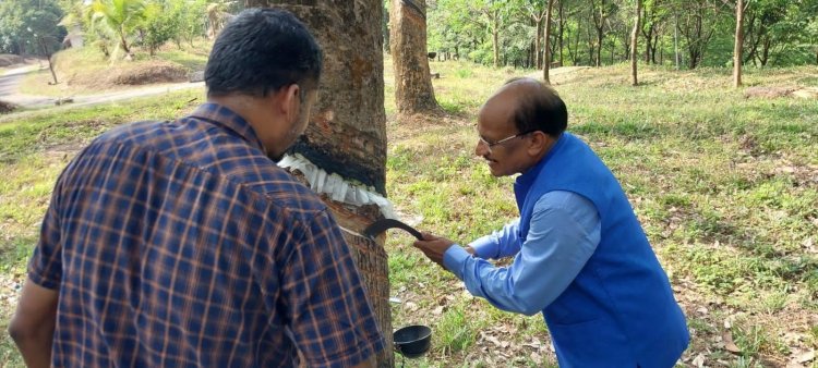 The Rubber Board and Digital University of Kerala has developed a Comprehensive Rubber Information System Platform (CRISP) for the rubber growers of Kerala.