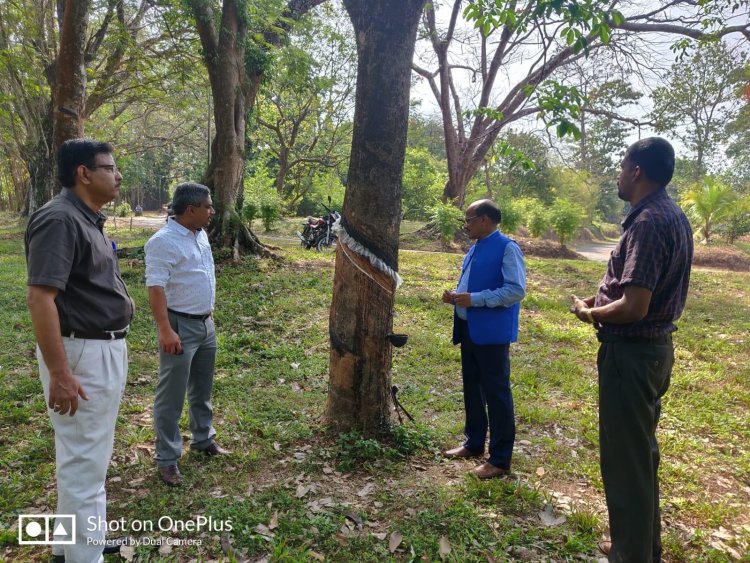 The Rubber Board and Digital University of Kerala has developed a Comprehensive Rubber Information System Platform (CRISP) for the rubber growers of Kerala.