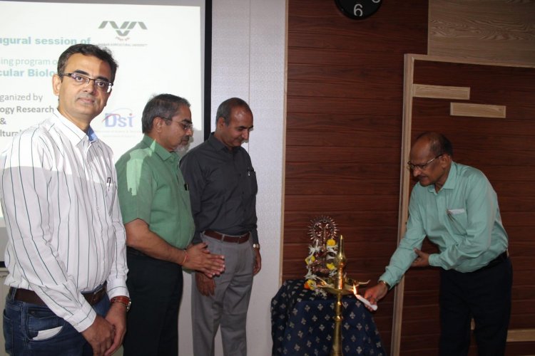 A five days hands on training program on "Basic Molecular Biology" was organized by Forest Biotechnology Laboratory, College of Forestry, Navsari in collaboration with Gujarat Biotechnology Research Centre, Gandhinagar and Sponsored by GSBTM, DST, Gandhinagar