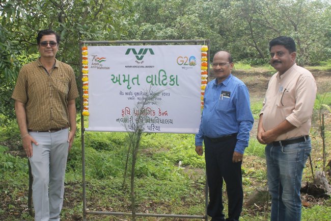 Hon’ble Vice-Chancellor Dr. Z. P. Patel along with Dr. T. R. Ahlawat, Director of Research visited Agricultural Experimental Station, Paria on August 29, 2023.