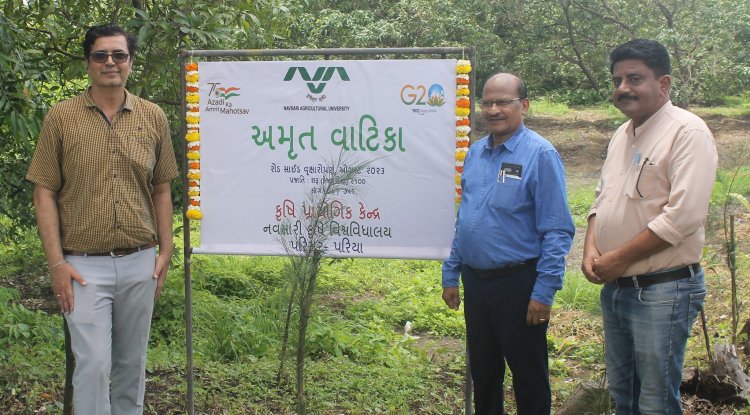 Hon’ble Vice-Chancellor Dr. Z. P. Patel along with Dr. T. R. Ahlawat, Director of Research visited Agricultural Experimental Station, Paria on August 29, 2023.