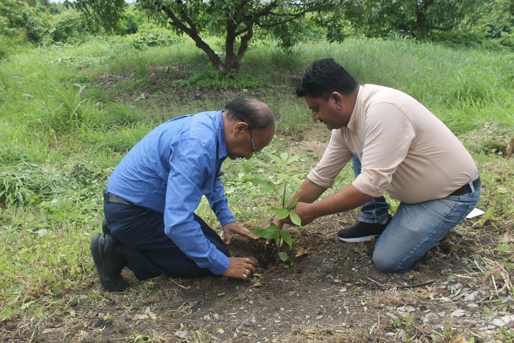 Hon’ble Vice-Chancellor Dr. Z. P. Patel along with Dr. T. R. Ahlawat, Director of Research visited Agricultural Experimental Station, Paria on August 29, 2023.