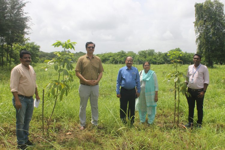 Hon’ble Vice-Chancellor Dr. Z. P. Patel along with Dr. T. R. Ahlawat, Director of Research visited Agricultural Experimental Station, Paria on August 29, 2023.