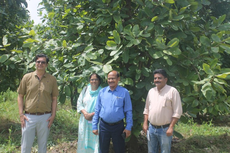 Hon’ble Vice-Chancellor Dr. Z. P. Patel along with Dr. T. R. Ahlawat, Director of Research visited Agricultural Experimental Station, Paria on August 29, 2023.