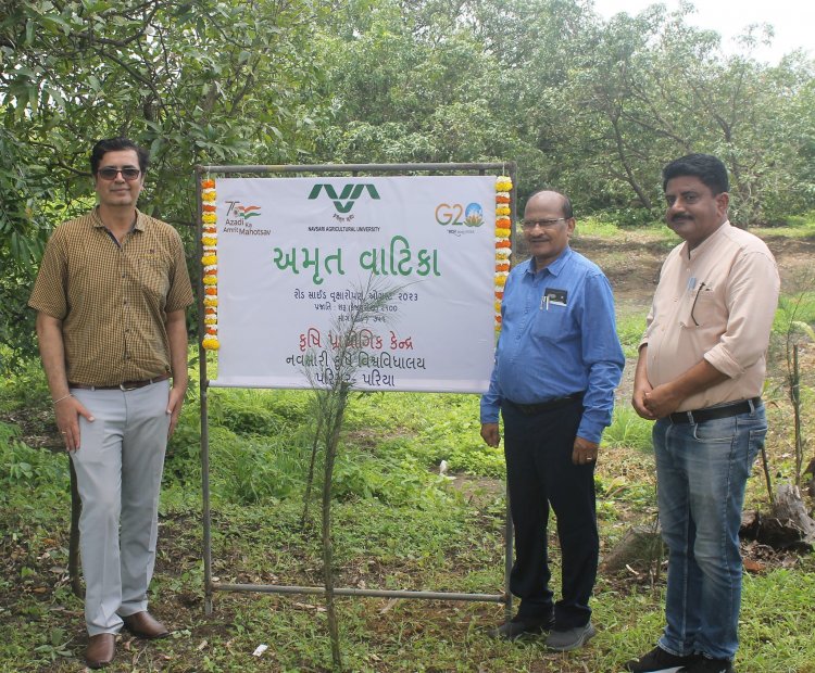 Hon’ble Vice-Chancellor Dr. Z. P. Patel along with Dr. T. R. Ahlawat, Director of Research visited Agricultural Experimental Station, Paria on August 29, 2023.