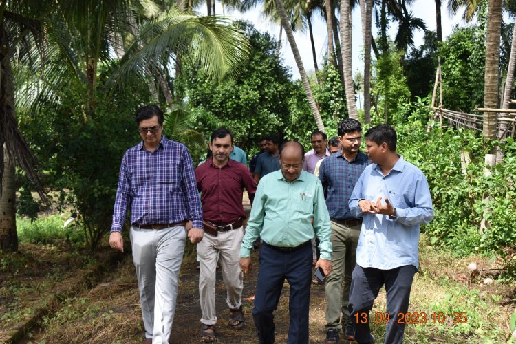 Hon'ble Vice-Chancellor Dr. Z. P. Patel, accompanied by Dr. T. R. Ahlawat, Director of Research, and Dr. V. R. Naik, ADR, marked a historic moment by planting GE Banana plants in Gujarat for the first time. 