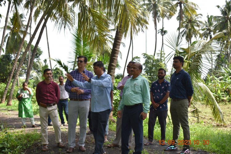 Hon'ble Vice-Chancellor Dr. Z. P. Patel, accompanied by Dr. T. R. Ahlawat, Director of Research, and Dr. V. R. Naik, ADR, marked a historic moment by planting GE Banana plants in Gujarat for the first time. 