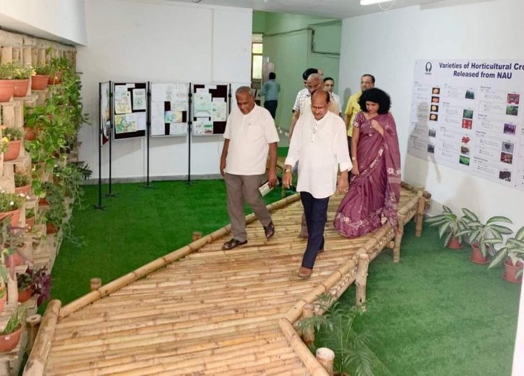 Soribashi - a bridge signifying and leading to 'Parivartan' with Tsubo- Niwa - Courtyard garden at ASPEE College of Horticulture, Navsari was inaugurated by Hon'ble Vice-Chancellor Dr. Z. P. Patel.