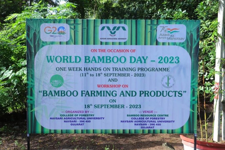 World Bamboo Day - 2023 was celebrated by Bamboo Resource Centre, Navsari in the presence of Hon’ble Vice-Chancellor Dr. Z. P. Patel as President of the function; Dr. K. Sasikumar (IFS), CCF Surat Circle as Chief Guest