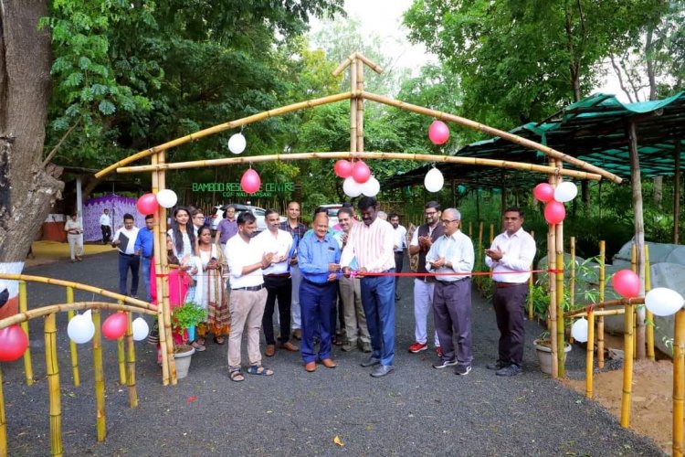 World Bamboo Day - 2023 was celebrated by Bamboo Resource Centre, Navsari in the presence of Hon’ble Vice-Chancellor Dr. Z. P. Patel as President of the function; Dr. K. Sasikumar (IFS), CCF Surat Circle as Chief Guest