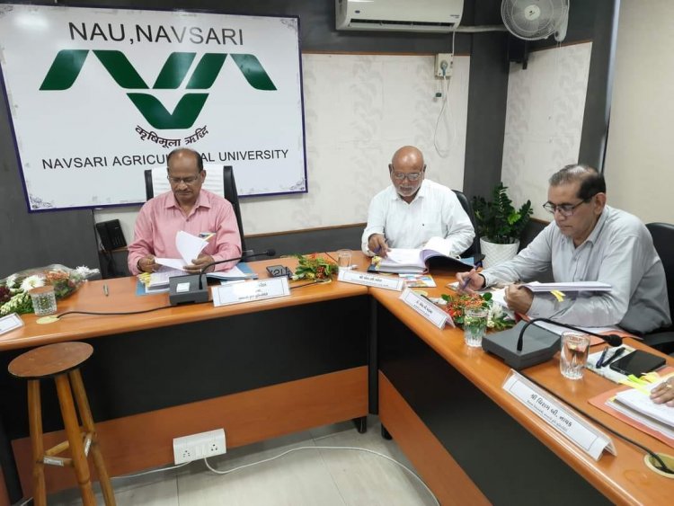 Hon’ble Vice-Chancellor Dr. Z. P. Patel chaired the 58th Construction Committee meeting organized by the Office of the Executive Engineer, NAU on September 20, 2023