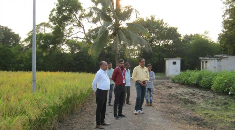 Hon’ble Vice-Chancellor Dr. Z. P. Patel along with Dr. V. R. Naik, ADR visited Cotton Wilt Research Station, Hansot on October 20, 2023.