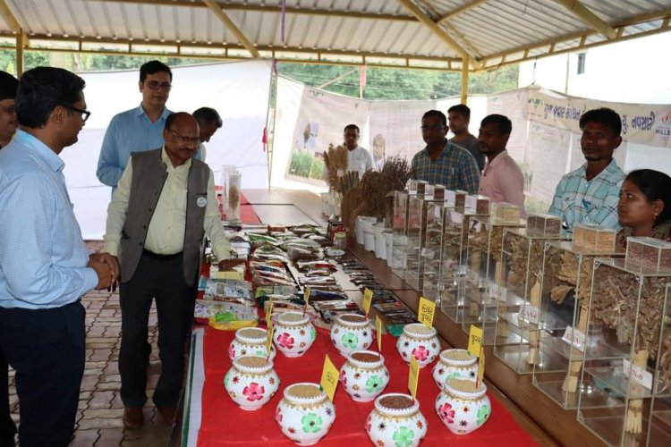 To mark the Celebration of the International Year of Millets-2023, the 'Millets Krishi Mela' was organized at Hill Millet Research Station, Waghai on September 03, 2023.