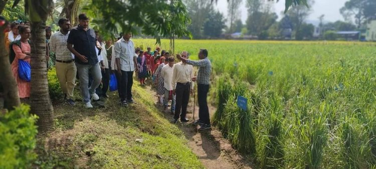 To mark the Celebration of the International Year of Millets-2023, the 'Millets Krishi Mela' was organized at Hill Millet Research Station, Waghai on September 03, 2023.