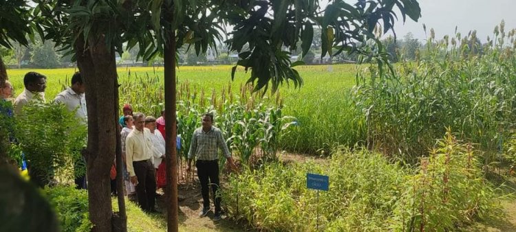 To mark the Celebration of the International Year of Millets-2023, the 'Millets Krishi Mela' was organized at Hill Millet Research Station, Waghai on September 03, 2023.