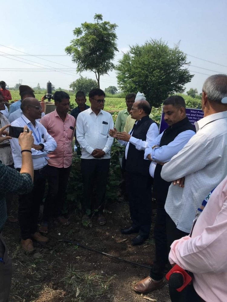 'World Cotton Day' was celebrated by Main Cotton Research Station, Surat by organizing a farmers workshop as a part of CCI-ICAR-Central Institute for Cotton Research (CICR) BMPs Extension Project at APMC, Nizar Dist. Tapi on October 07, 2023.