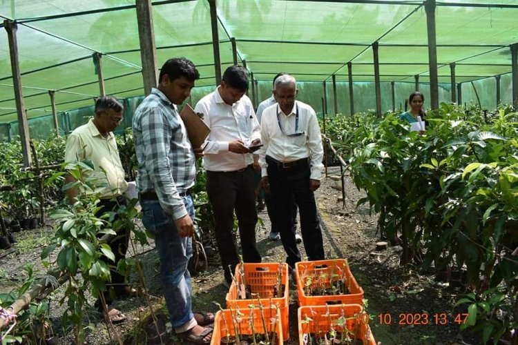 Dr. Prakash Patil, Project Coordinator (Fruits), AICRP, ICAR-IIHR, Bengaluru, paid a visit to the Hon’ble Vice-Chancellor, Dr. Z. P. Patel, during his official trip to NAU Navsari on October 10, 2023. 